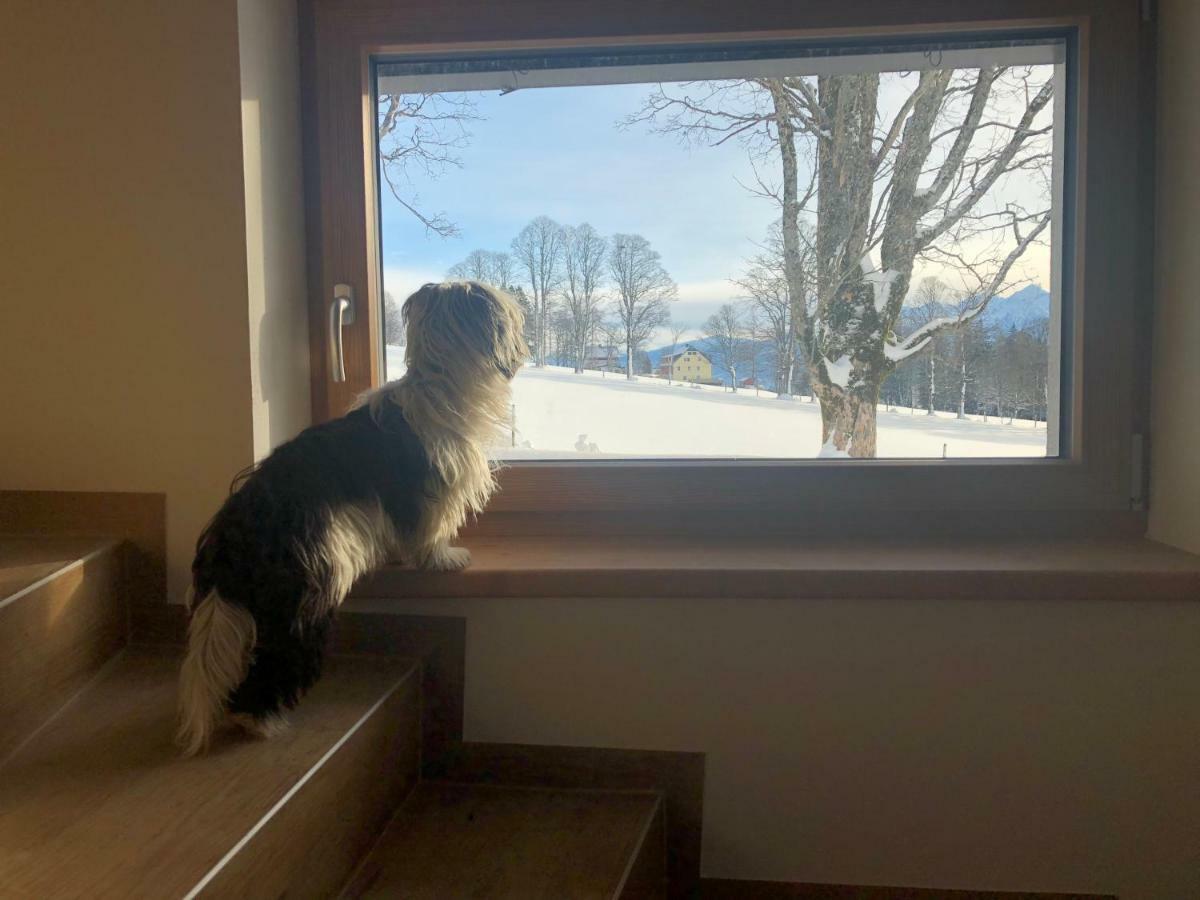 Haus Am Berg Appartement Ramsau am Dachstein Buitenkant foto