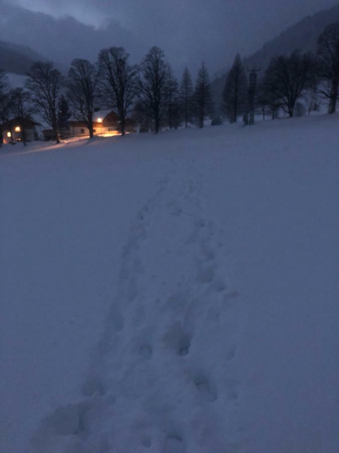 Haus Am Berg Appartement Ramsau am Dachstein Buitenkant foto